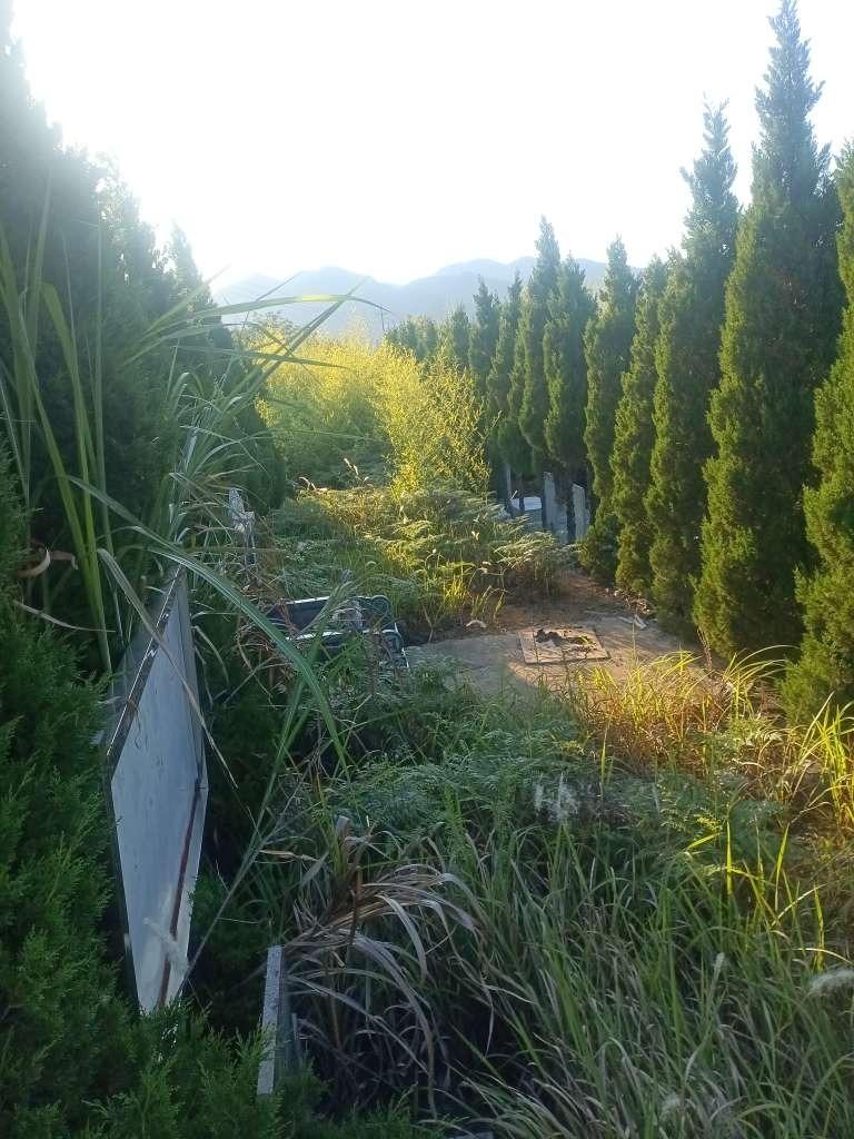 横山村美塘山公墓园区图片