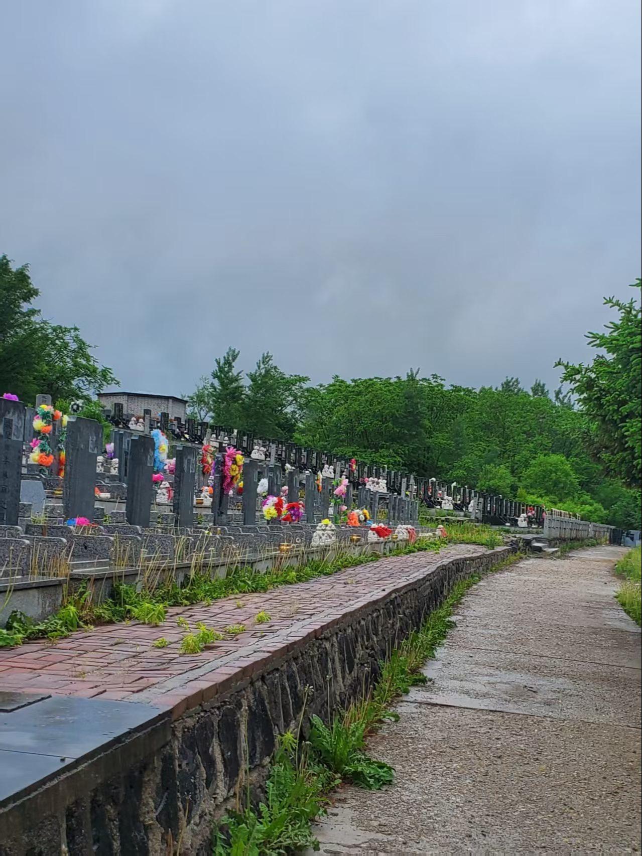 靖宇县福寿园墓地服务有限责任公司园区图片