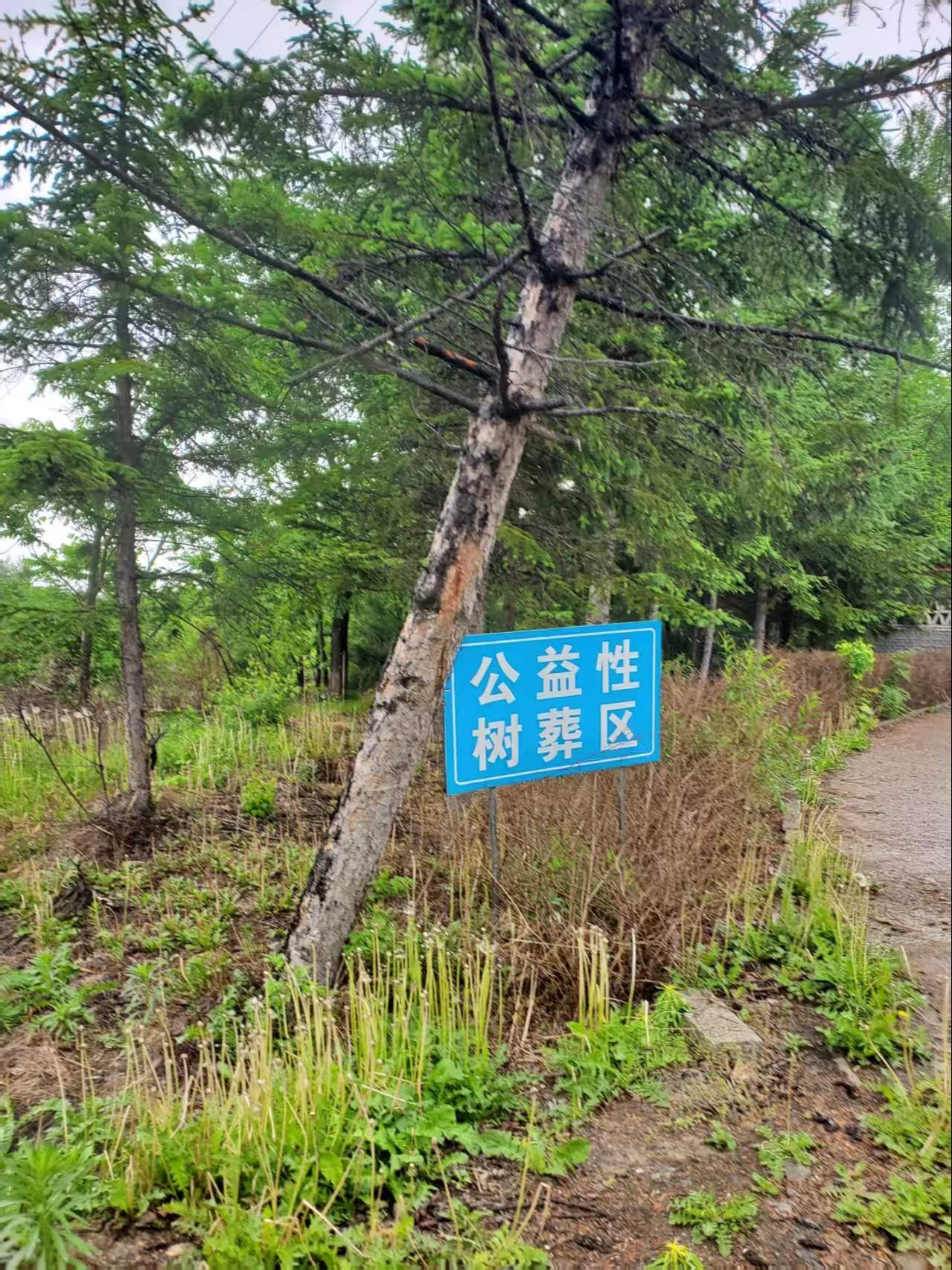 靖宇县福寿园墓地服务有限责任公司园区图片