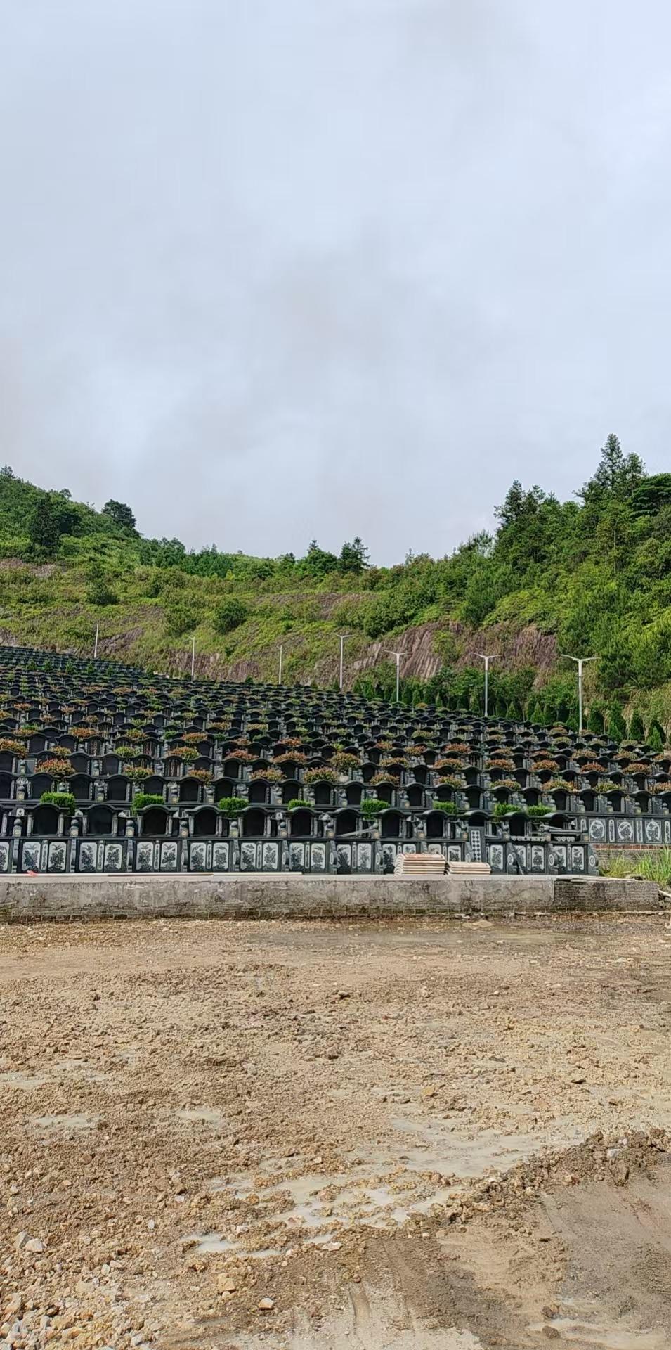泰顺县彭溪镇莲花山公墓园区图片