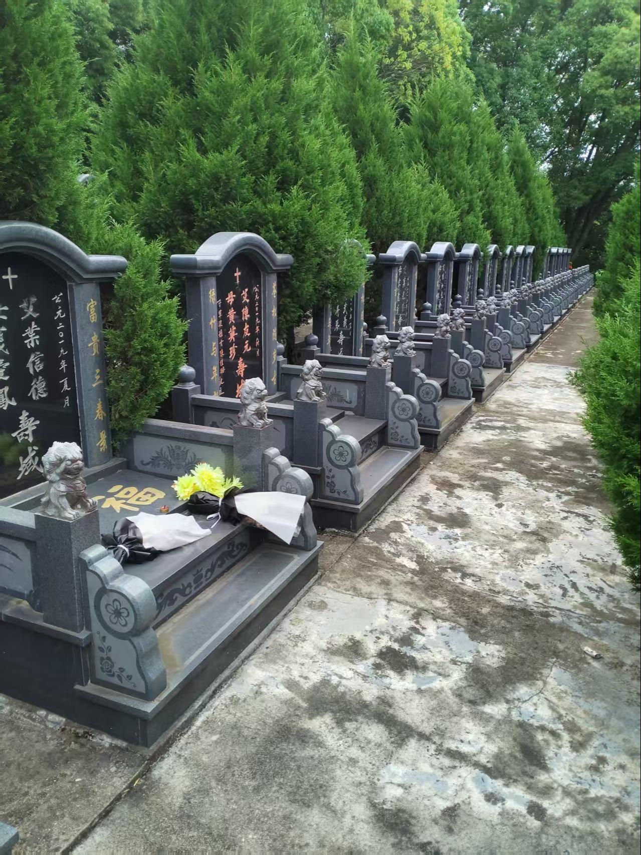 龙皇堂公益性墓园园区图片