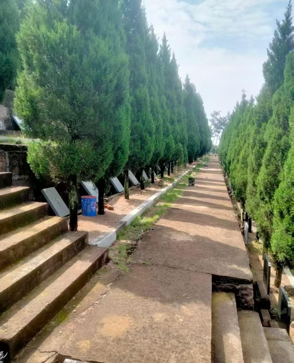 义乌市城西街道公墓园区图片