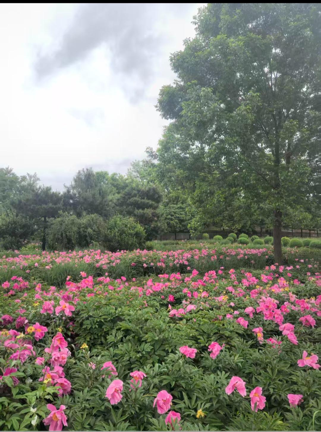 迁安市天福陵园公墓园区图片