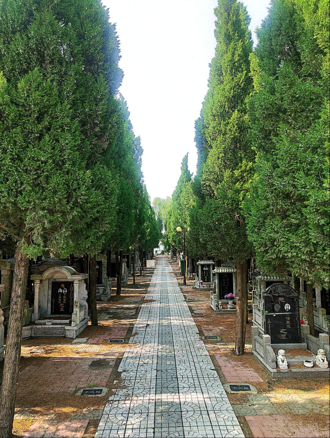 姓香园公墓园区图片