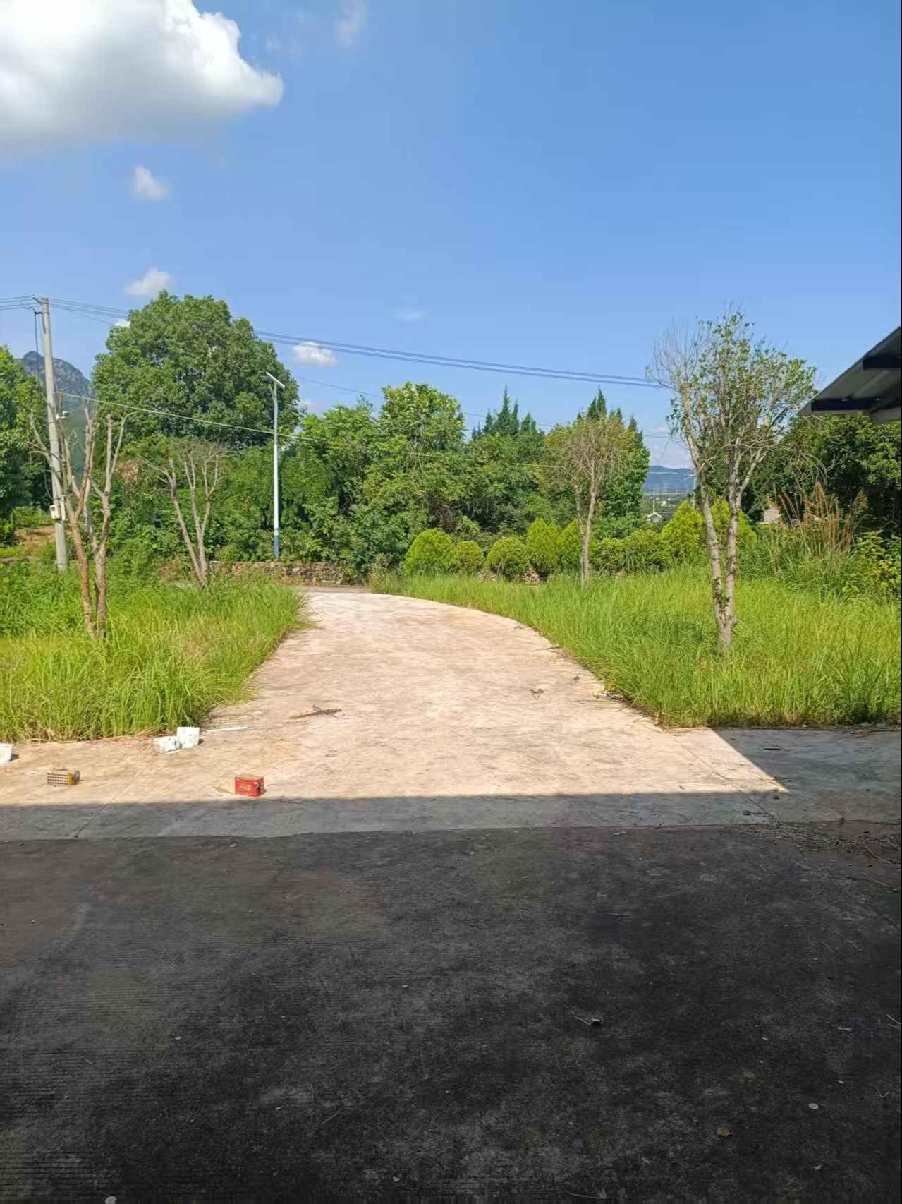 兰溪市黄店镇桐山后金村前方骨灰堂园区图片