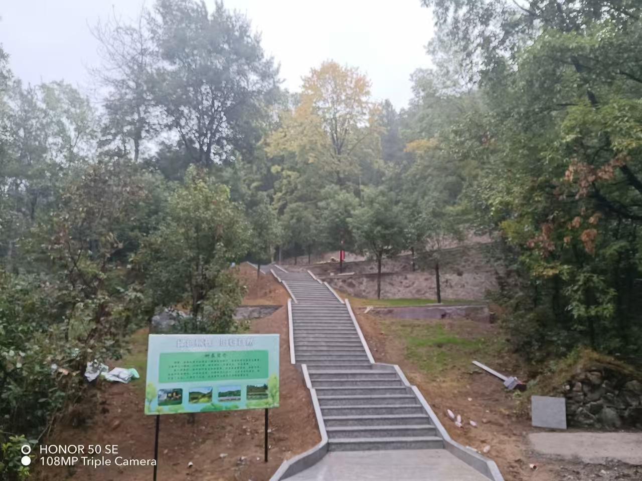 东阳市画水镇镇级节地生态公墓树葬区园区图片