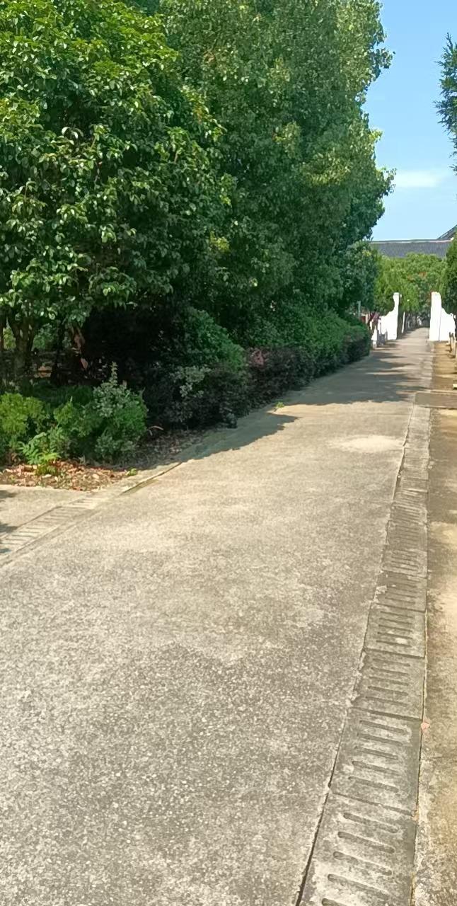 长桥公墓园区图片