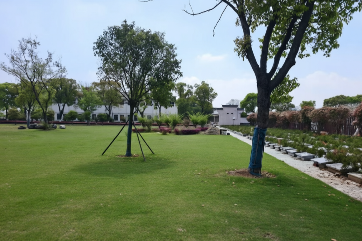 无锡市锡山区羊尖福寿园园区图片