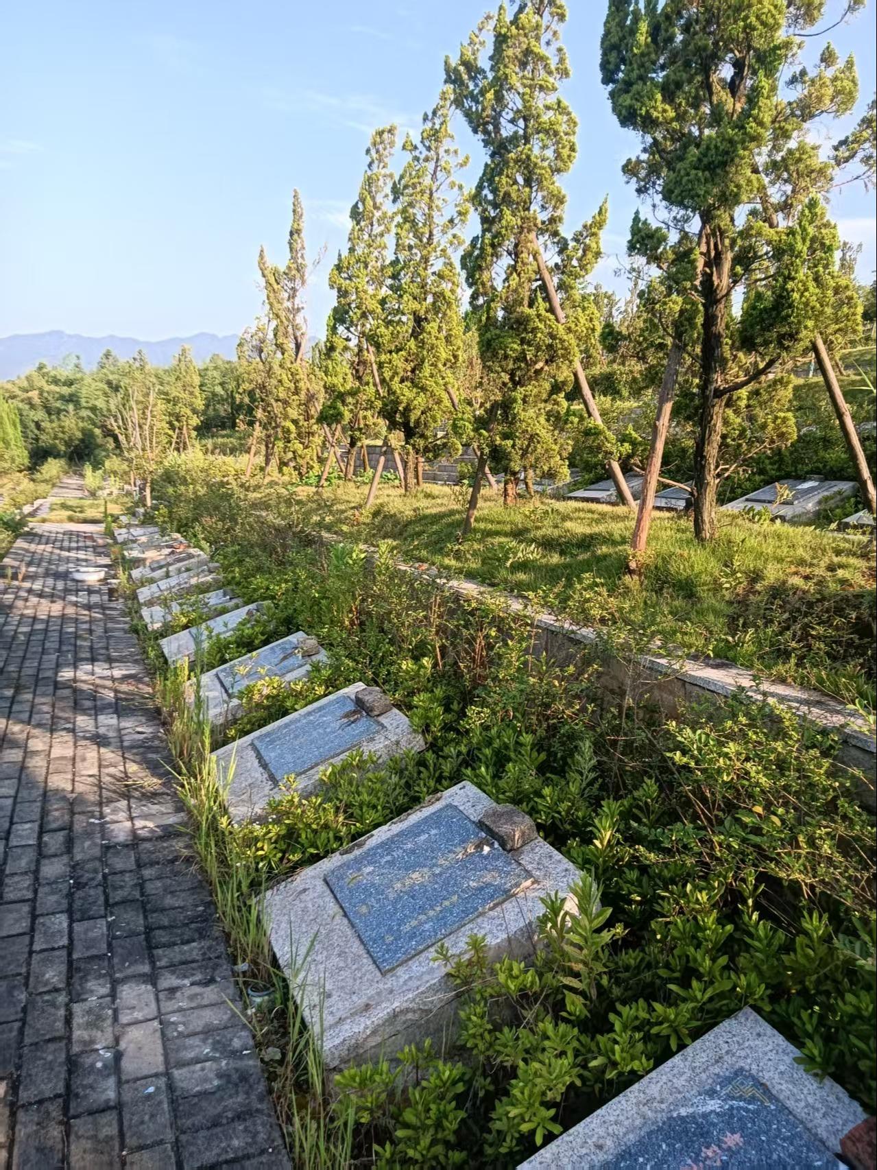 九华乡第一生态节地公墓（安乐园）园区图片