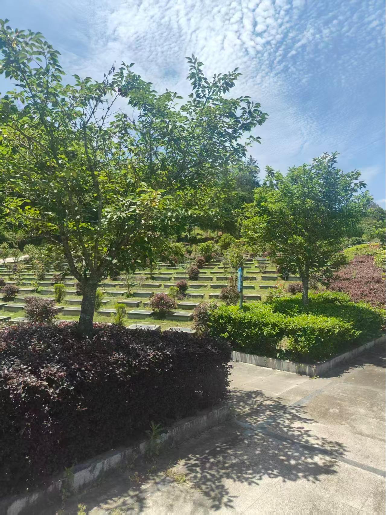 司前镇鸡芳山公益性公墓园区图片