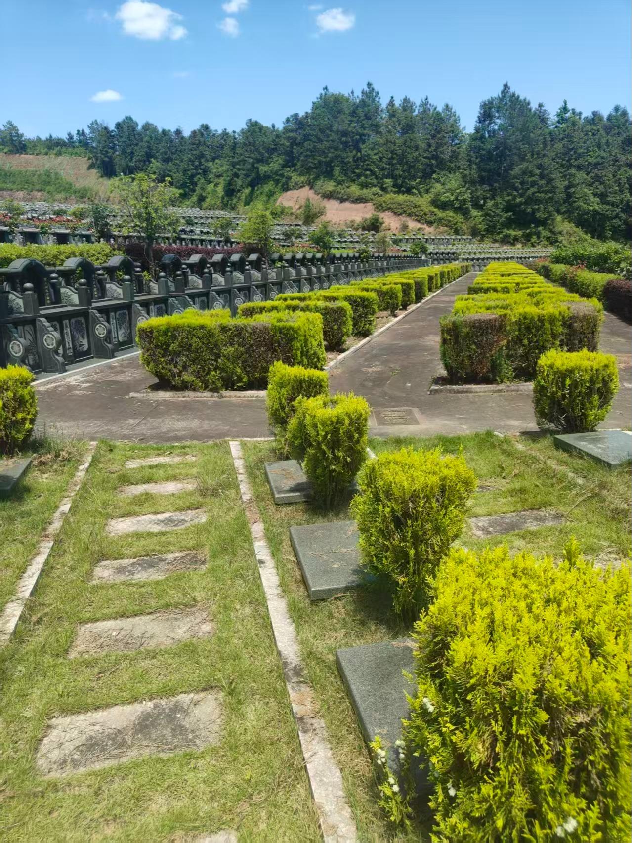 司前镇鸡芳山公益性公墓园区图片
