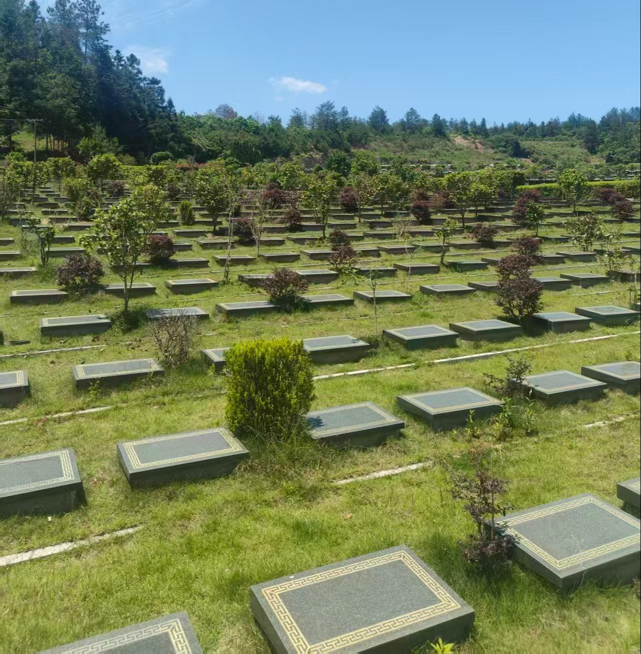 司前镇鸡芳山公益性公墓园区图片
