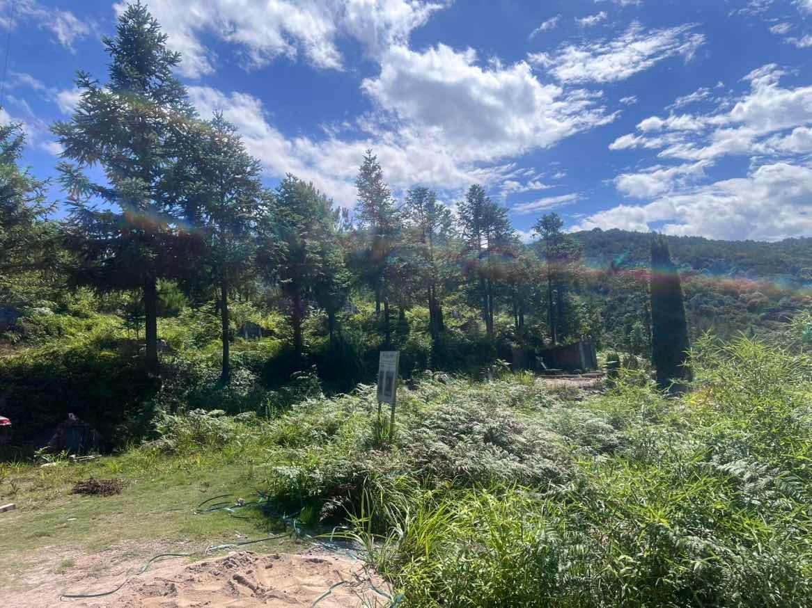 湖南镇节地生态安葬点园区图片