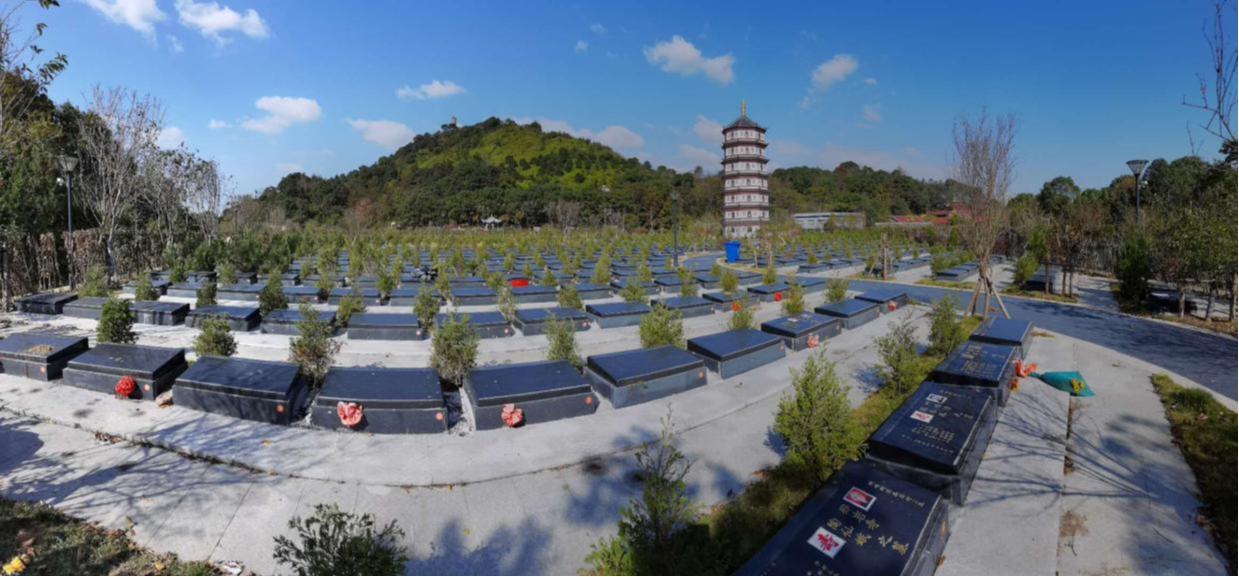 螺洋莲花山公墓园区图片