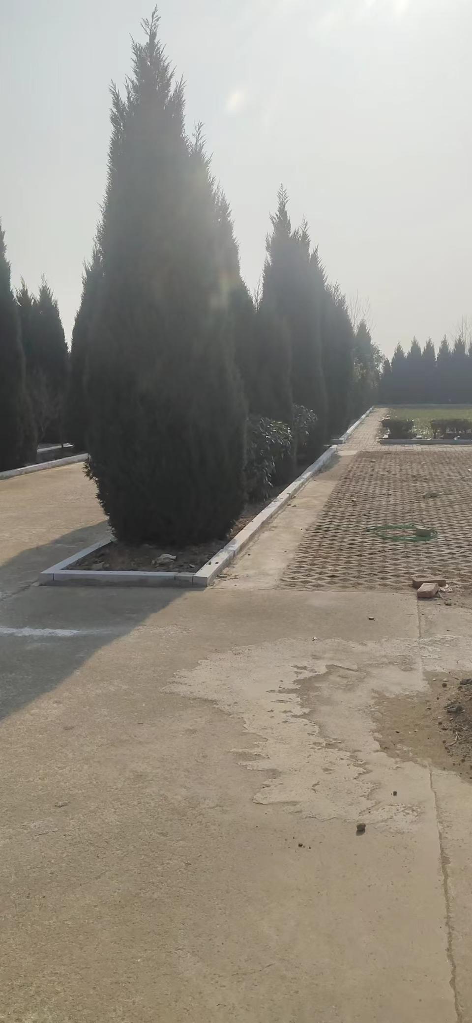 现代农业产业园区公益性公墓园区图片