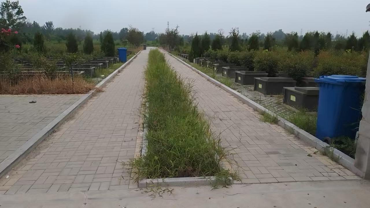 邳州市议堂镇永泽公益性公墓园区图片