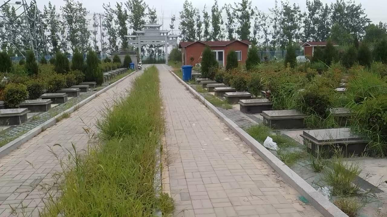邳州市议堂镇永泽公益性公墓园区图片