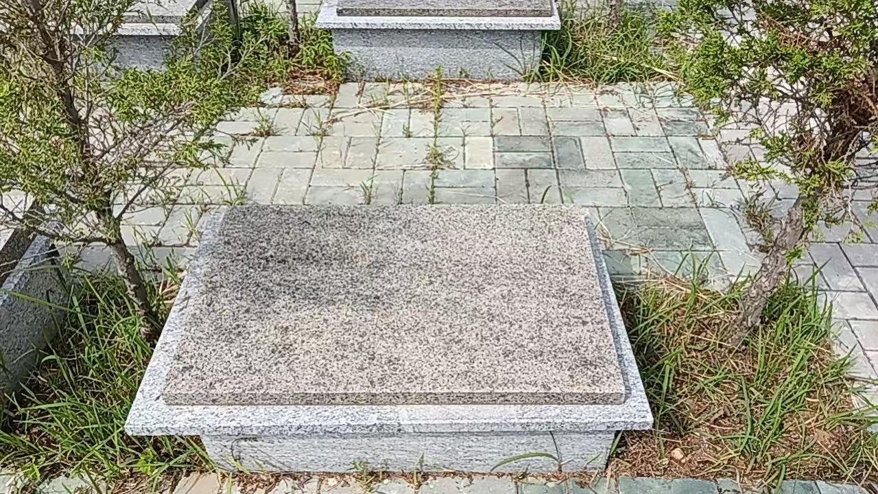 邳州市八路镇公益性公墓园区图片