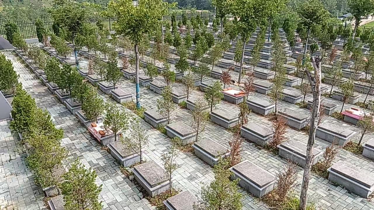 邳州市八路镇公益性公墓园区图片
