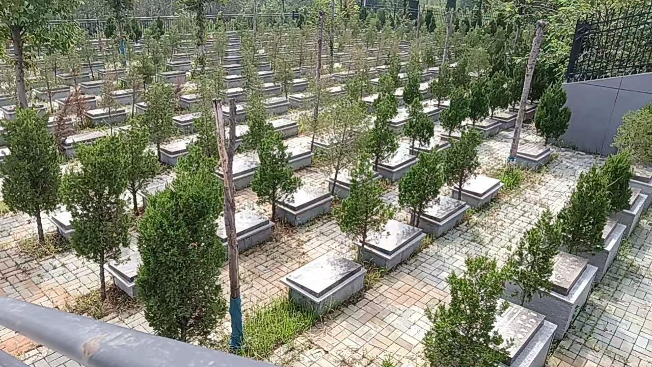邳州市八路镇公益性公墓园区图片