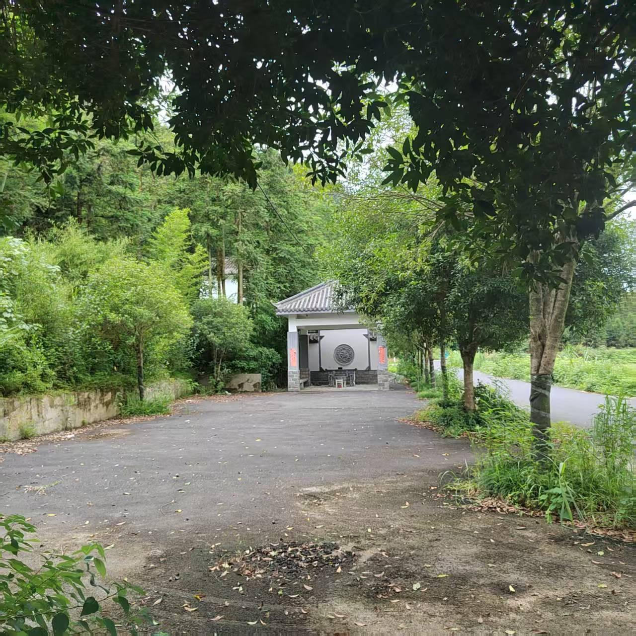 杨林镇东坑口村大墩公墓园区图片