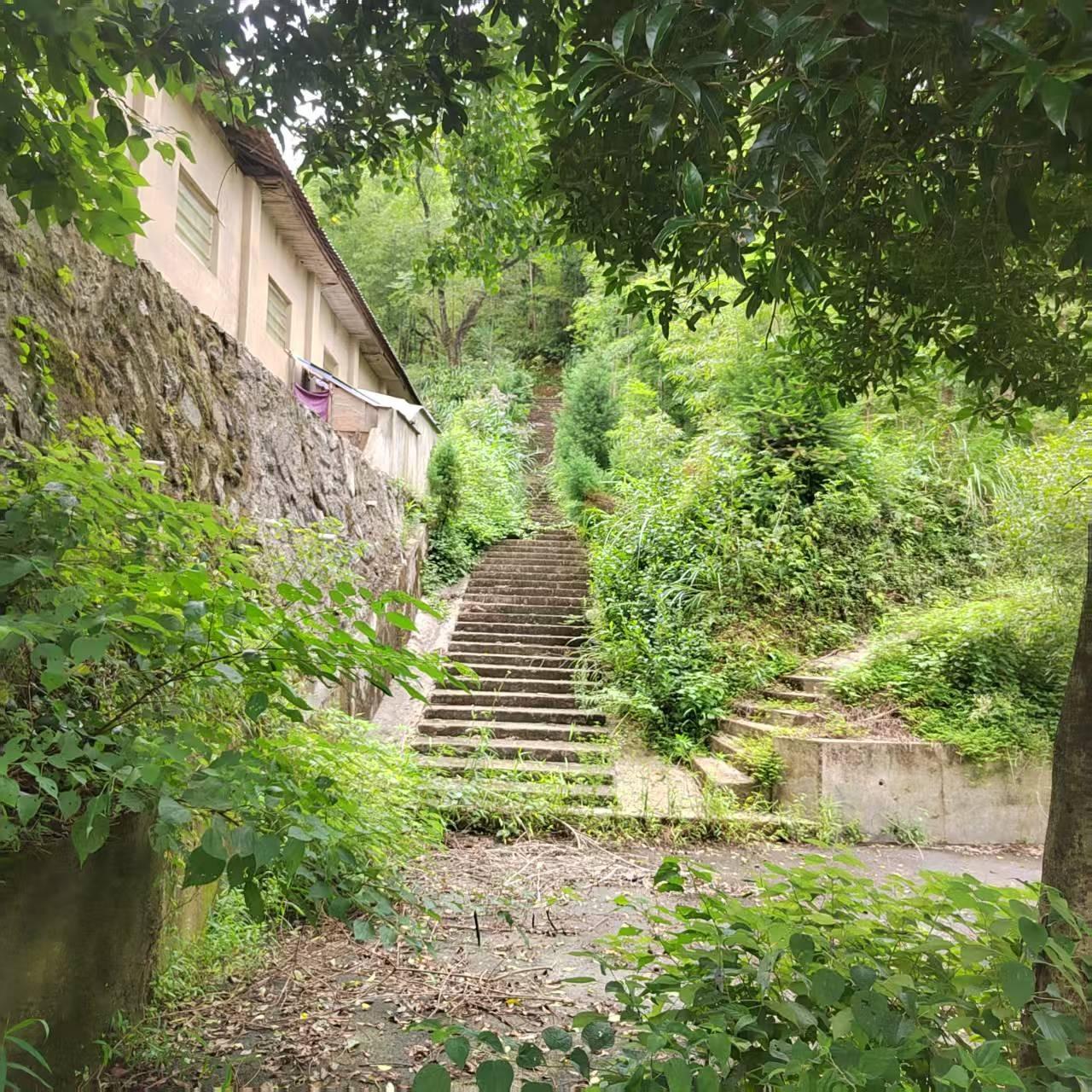 杨林镇东坑口村大墩公墓