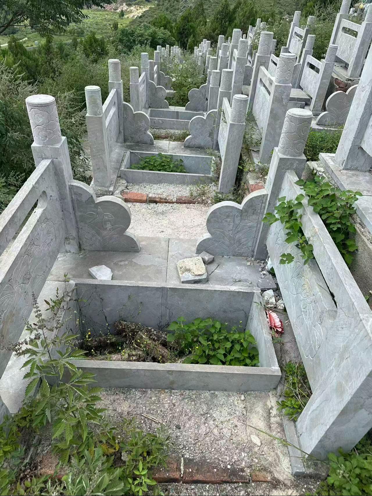 大李庄村松圣园公益性公墓园区图片