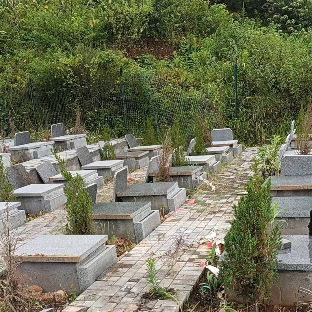 峡川镇节地生态安葬点园区图片