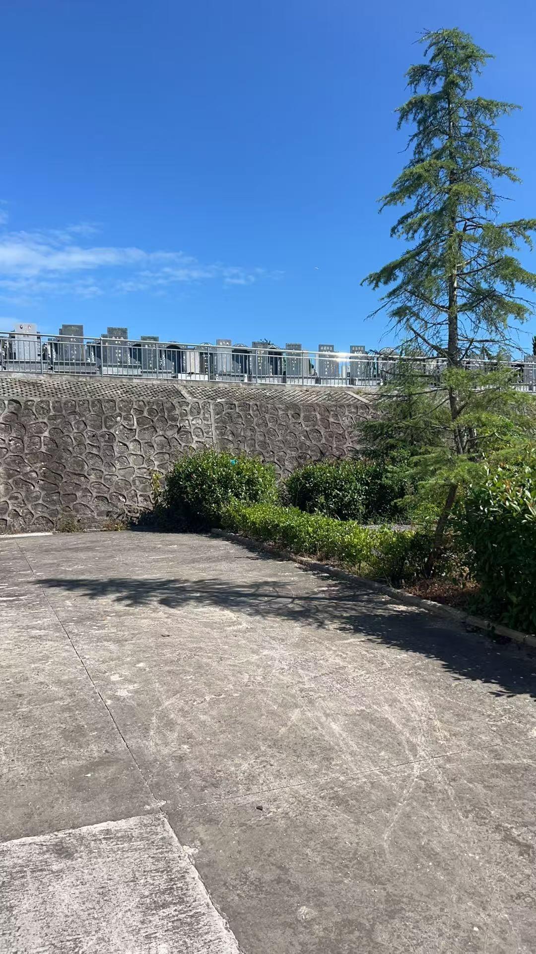 季山公墓园区图片