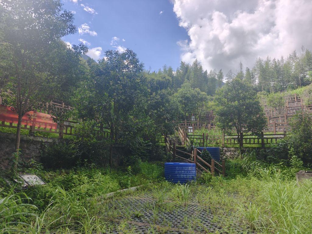 太真乡节地生态安葬点园区图片