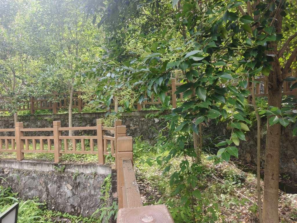 太真乡节地生态安葬点园区图片