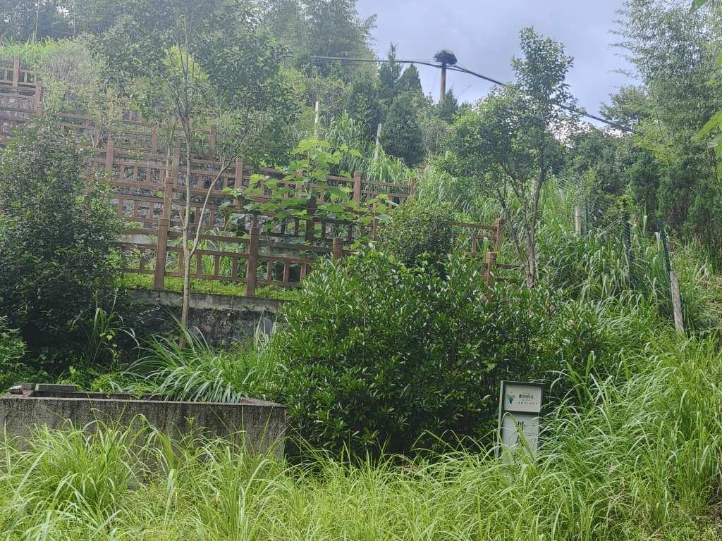 太真乡节地生态安葬点