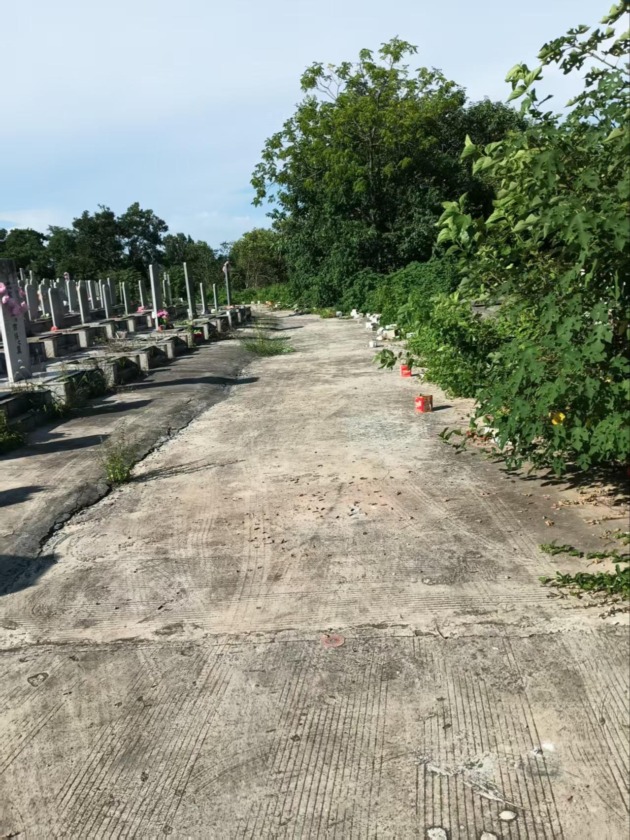 金牛湖街道头顶山公墓园区图片