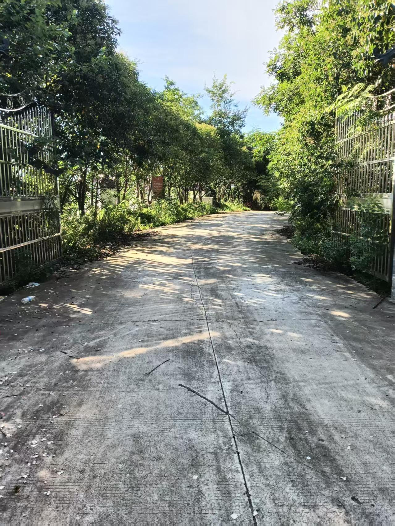 金牛湖街道头顶山公墓