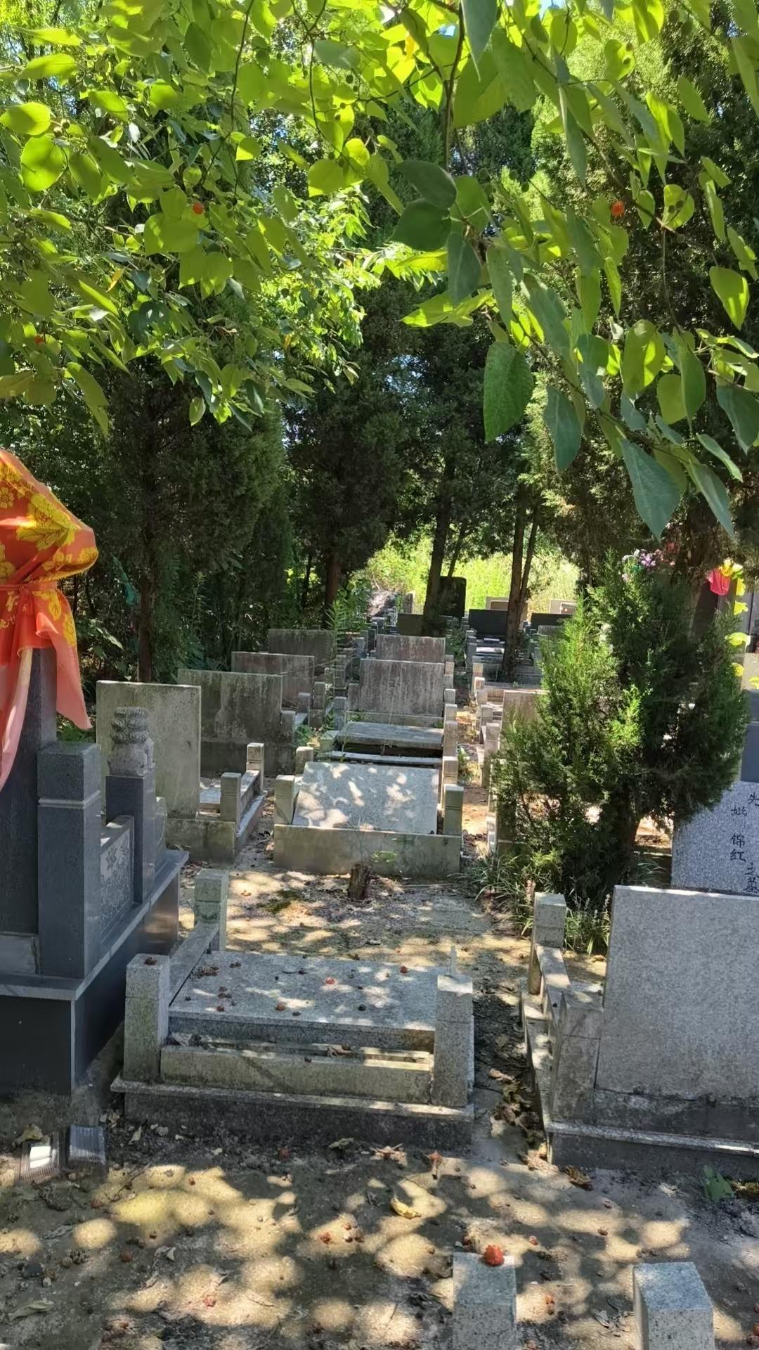 暗山公墓园区图片