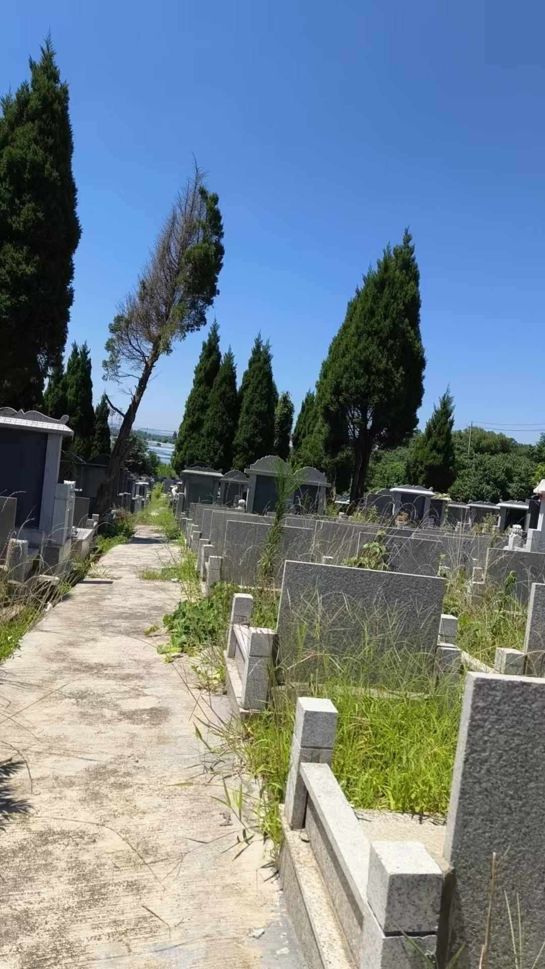 山西山公墓园区图片