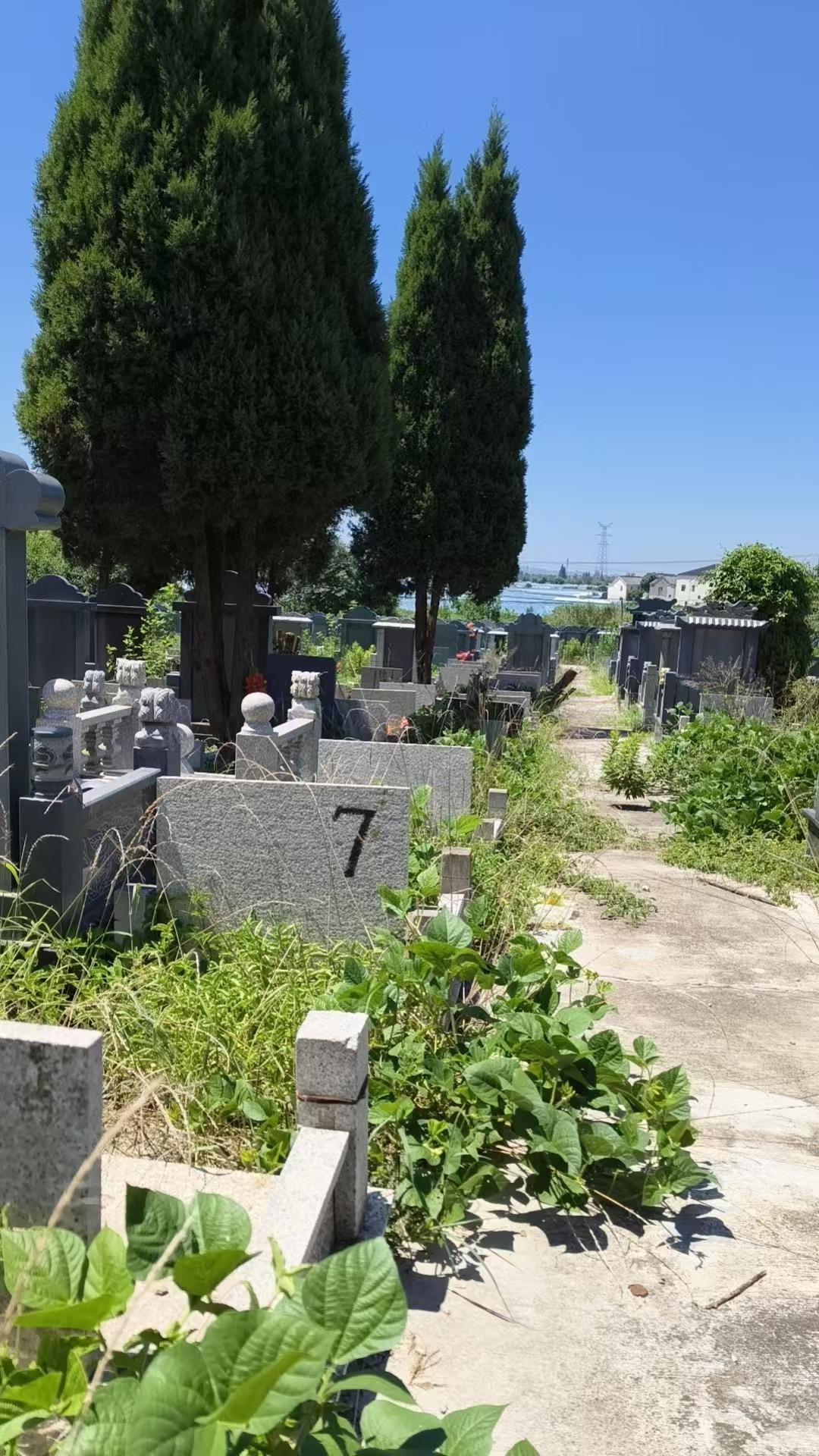 山西山公墓园区图片