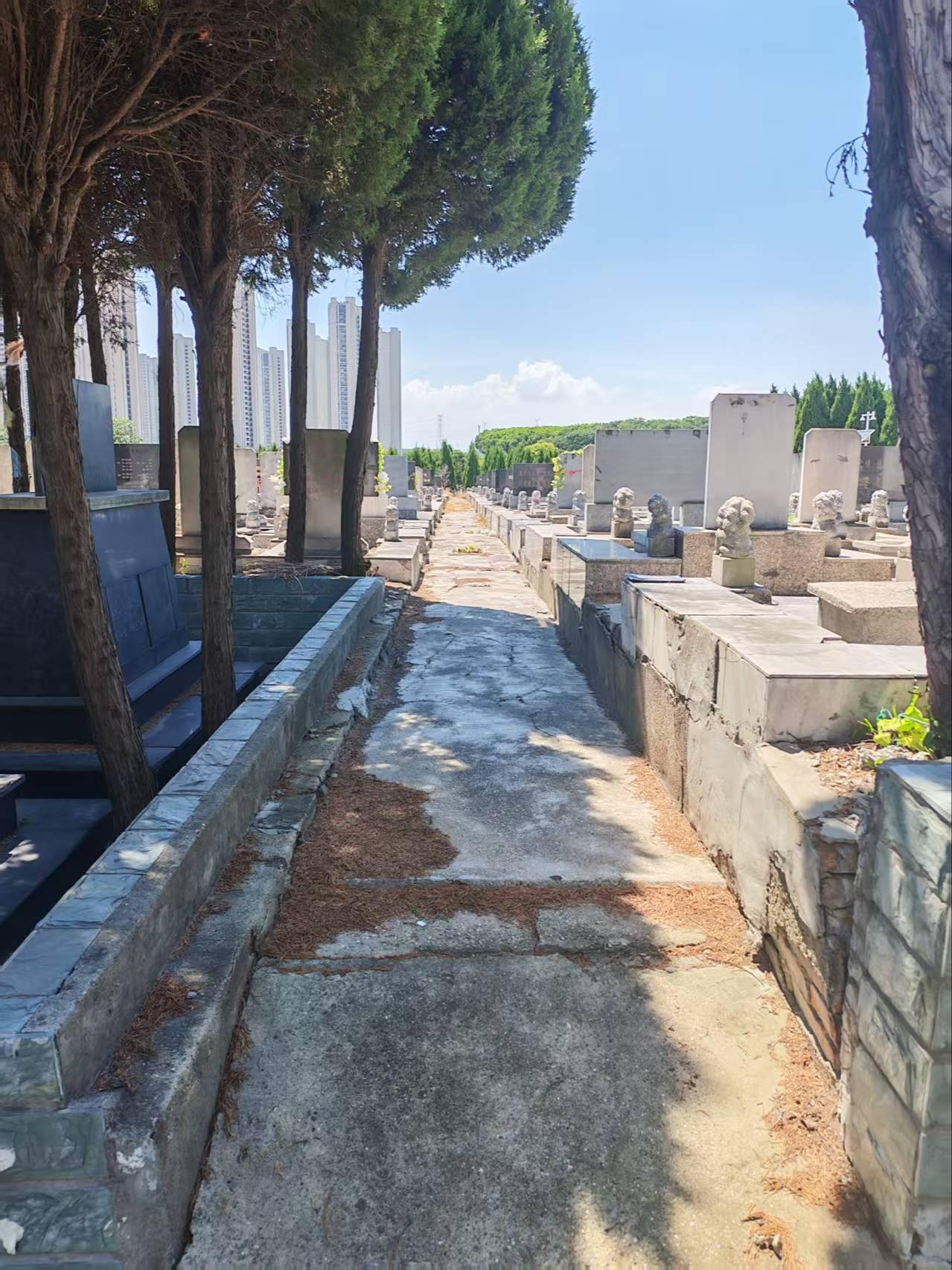 工农社区安乐公墓园区图片