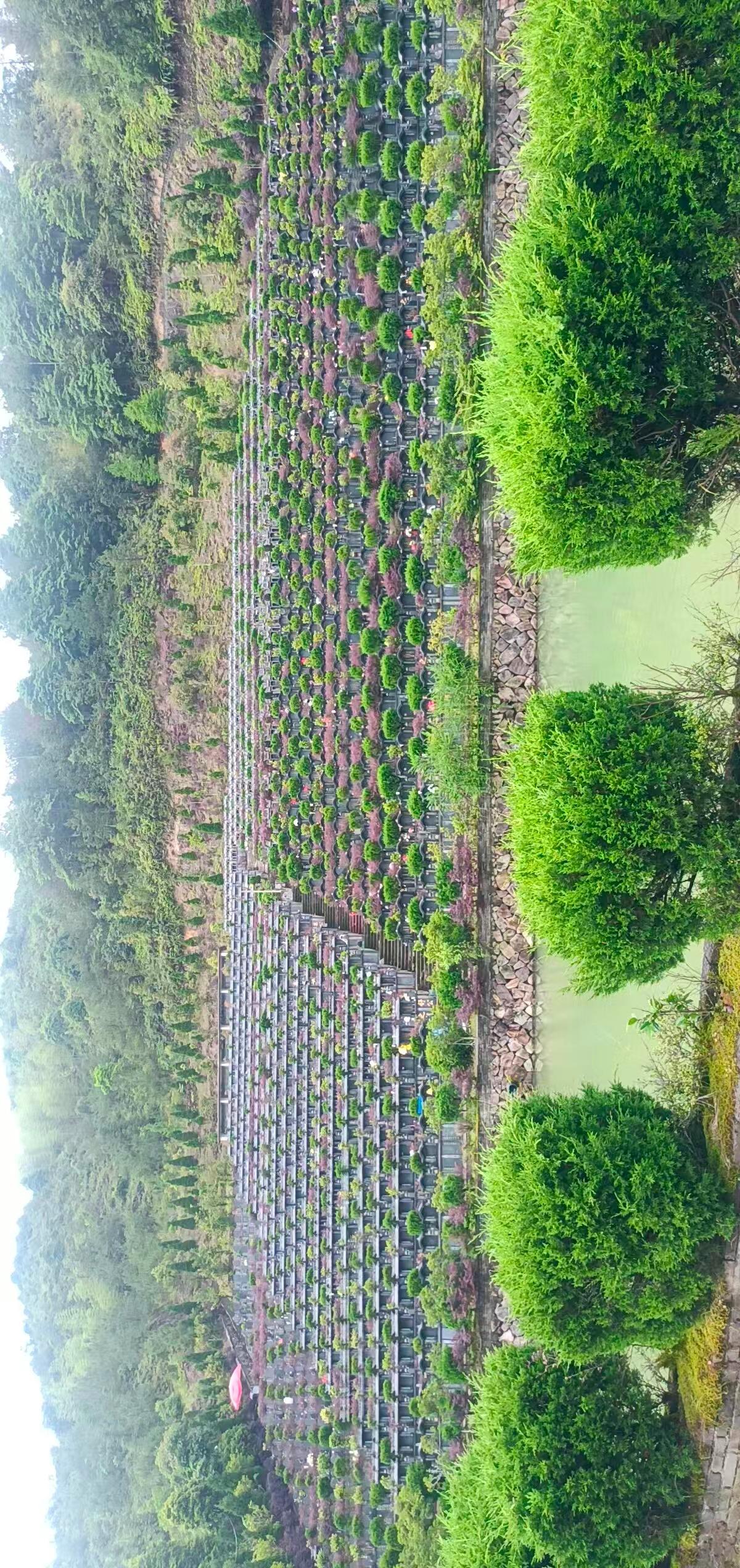 泰顺县罗阳镇高山公墓服务中心