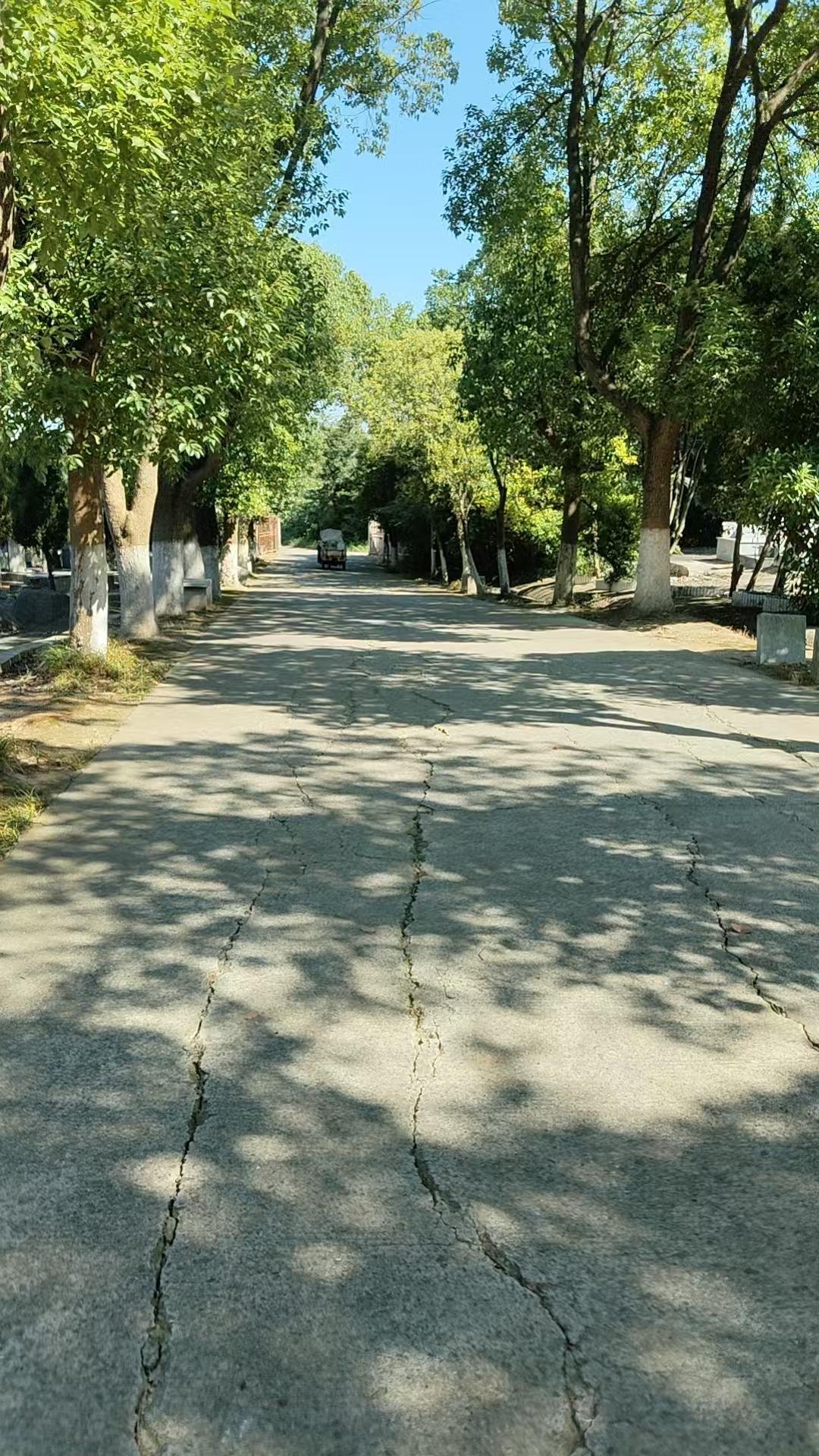 蝉山公墓
