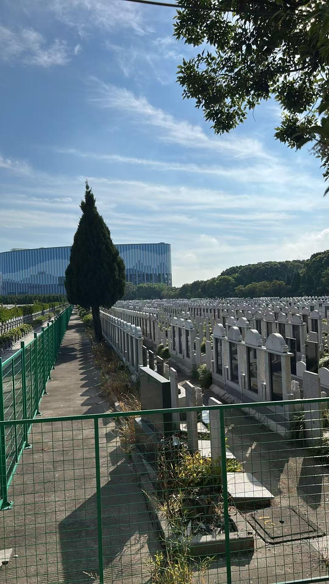 太仓市科教新城新南公墓园区图片
