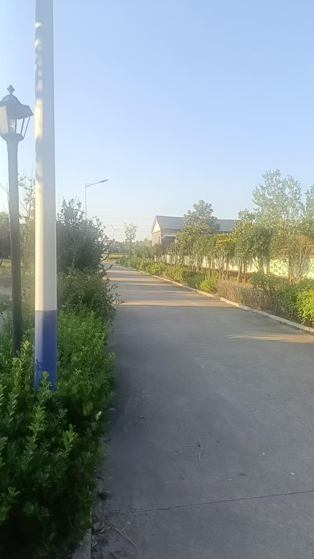 睢宁县邱集镇农村公益性公墓园区图片