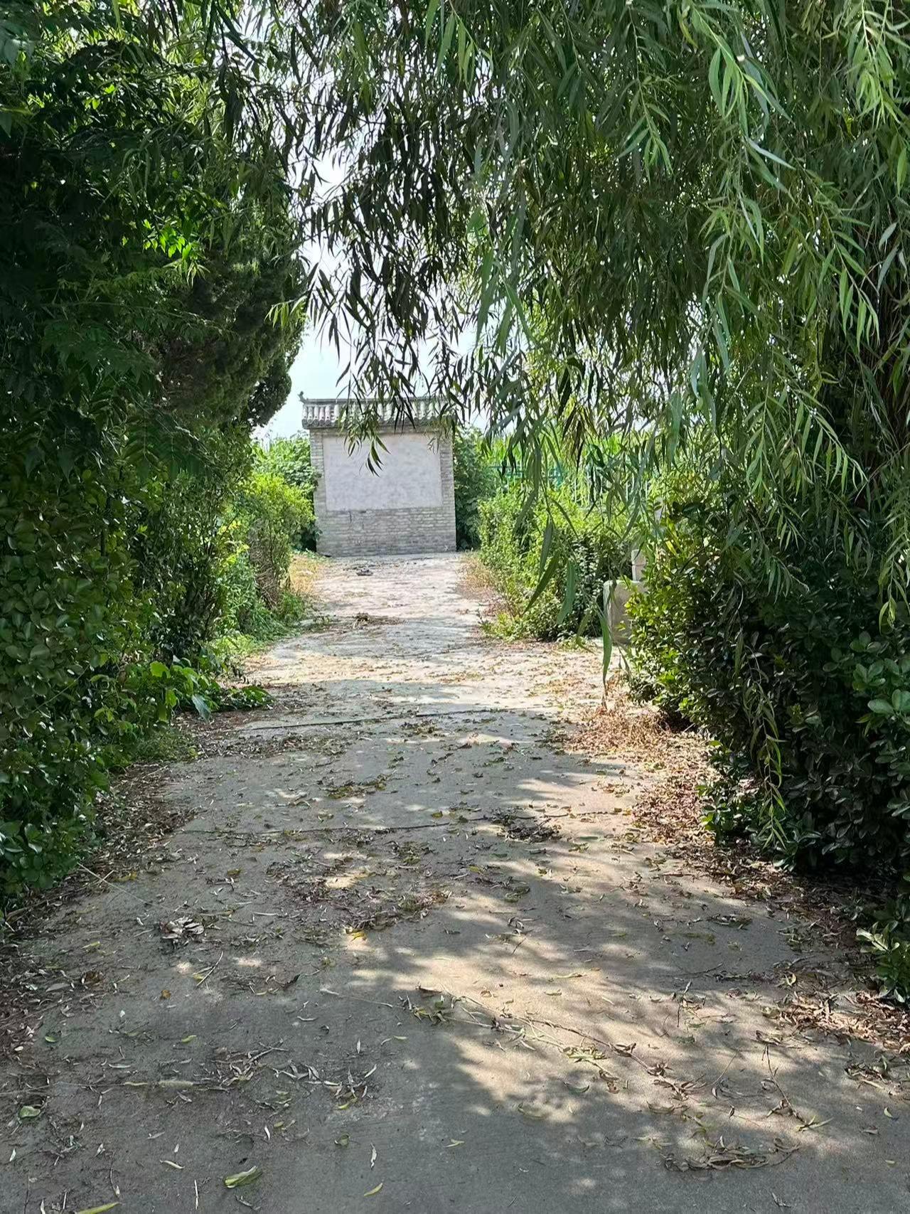 封楼村公益性公墓园区图片