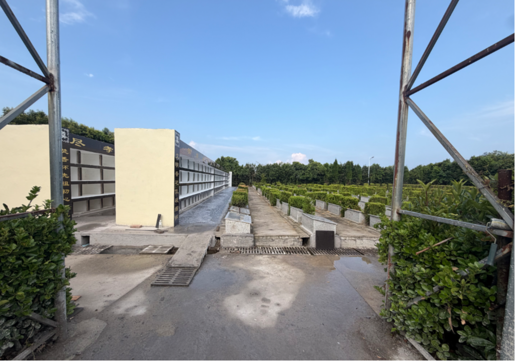 分界镇公益性公墓王厂墓区园区图片