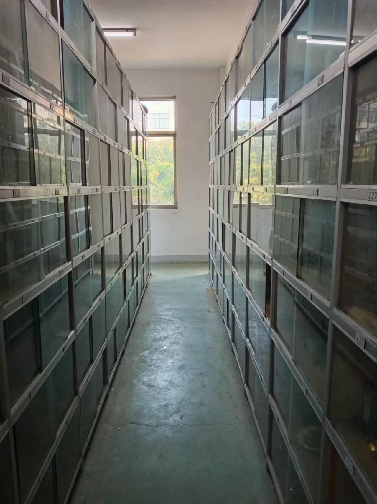 坂上安息宫园区图片