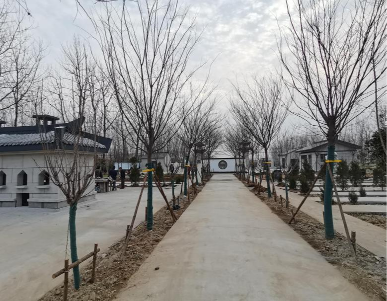 陇集公墓园区图片