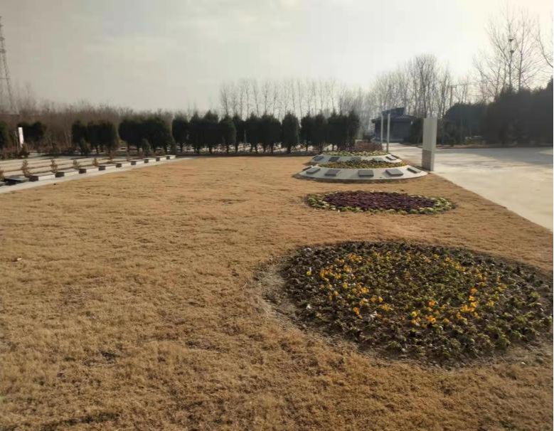 沭阳追思园钱集公墓园区图片