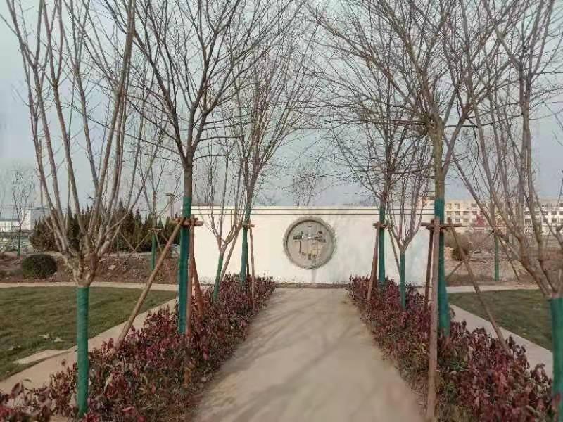 沭阳追思园华冲公墓园区图片