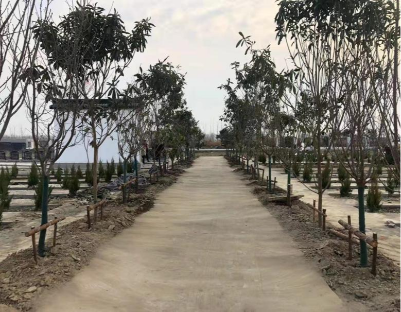 沭阳追思园马厂公墓园区图片