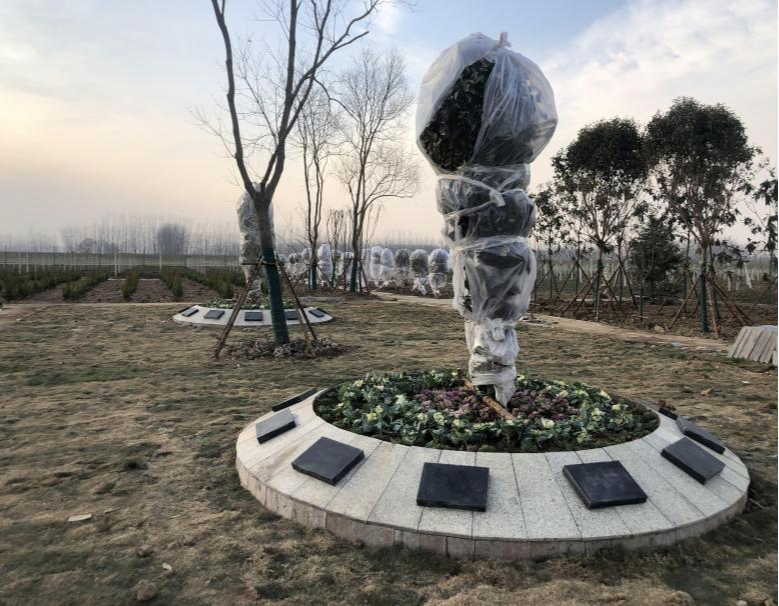 沭阳追思园沂涛公墓园区图片
